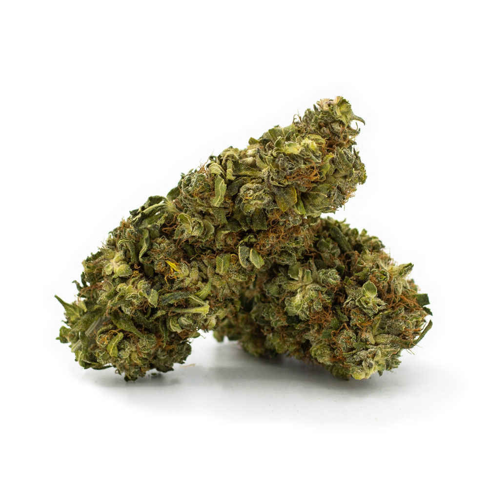 Orange Bud