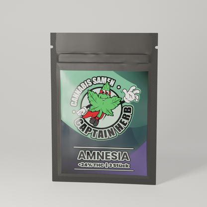Amnesia Seeds (3 Stk.)