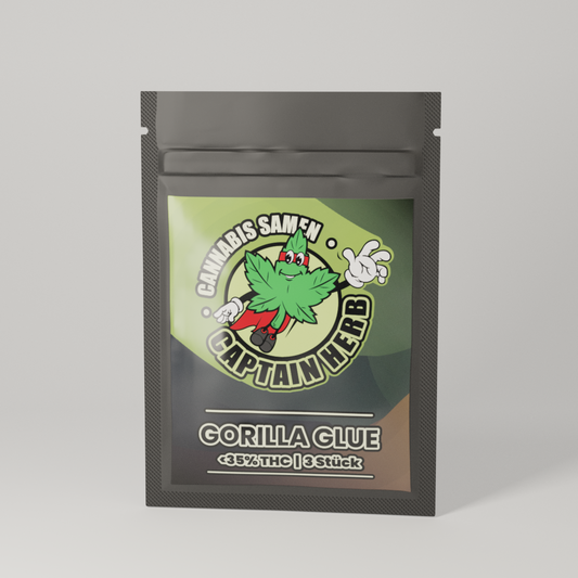 Gorilla Glue Seeds (3 Stk.)